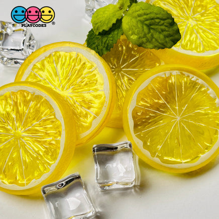 Slice Citrus Fruit Charms Faux Fruits Slices Lemon Orange Lime Plastic Not Bendable Translucent Fake