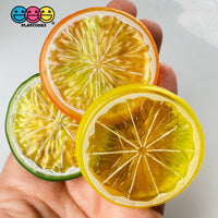 Slice Citrus Fruit Charms Faux Fruits Slices Lemon Orange Lime Plastic Not Bendable Translucent