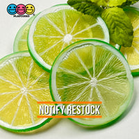 Slice Fruit Charms Faux Fruits Slices Orange Lemon Lime Decoden Fake Food 10Pcs