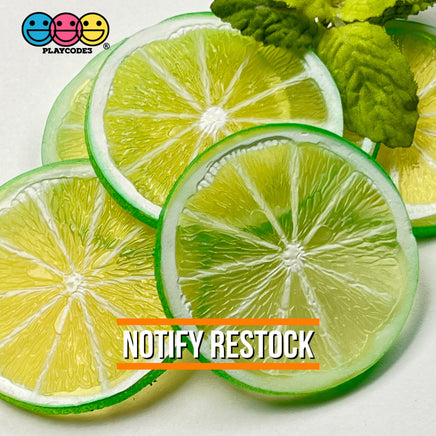 Slice Fruit Charms Faux Fruits Slices Orange Lemon Lime Decoden Fake Food 10Pcs