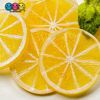 Slice Fruit Charms Faux Fruits Slices Orange Lemon Lime Decoden Fake Food 10Pcs