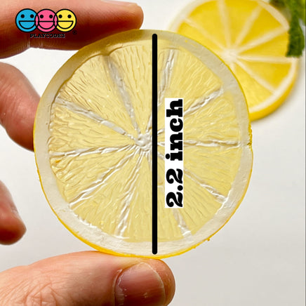 Slice Fruit Charms Faux Fruits Slices Orange Lemon Lime Decoden Fake Food 10Pcs