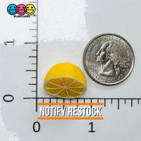 Sliced Whole Lemon Charms Fake Food Miniatures Cabochons Decoden Charm 10 pcs Charm