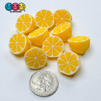 Sliced Whole Lemon Charms Fake Food Miniatures Cabochons Decoden Charm 10 pcs Charm