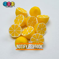 Sliced Whole Lemon Charms Fake Food Miniatures Cabochons Decoden Charm 10 pcs Charm