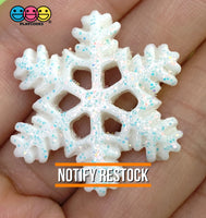 Snow Flakes Snowflakes Glitter Flat Back Charms 4 Types 10/20Pcs White Snow Flake Charm