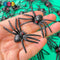 Spider Large Black Spiders Red Eyes Charm Halloween Cabochons 30 Pcs