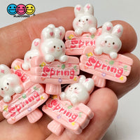 Spring Sign Cute Pink Rabbit Bunny Easter Kawaii Charm Flat Back Cabochons Decoden 10 Pcs Playcode3