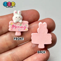 Spring Sign Cute Pink Rabbit Bunny Easter Kawaii Charm Flat Back Cabochons Decoden 10 Pcs Playcode3