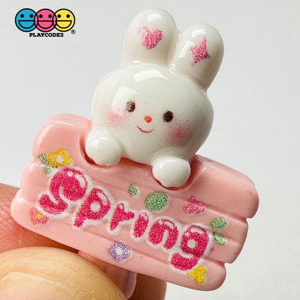 Spring Sign Cute Pink Rabbit Bunny Easter Kawaii Charm Flat Back Cabochons Decoden 10 Pcs Playcode3