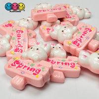 Spring Sign Cute Pink Rabbit Bunny Easter Kawaii Charm Flat Back Cabochons Decoden 10 Pcs Playcode3