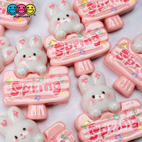 Spring Sign Cute Pink Rabbit Bunny Easter Kawaii Charm Flat Back Cabochons Decoden 10 Pcs Playcode3