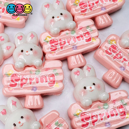 Spring Sign Cute Pink Rabbit Bunny Easter Kawaii Charm Flat Back Cabochons Decoden 10 Pcs Playcode3