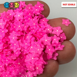 Hot Pink Star Fish Summer Sea Beach Aqua Kawaii Cute Fake Clay Sprinkles Decoden Jimmies 10 Grams