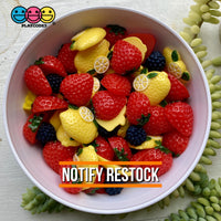 10Pcs Strawberry Flat Back Charms Charm