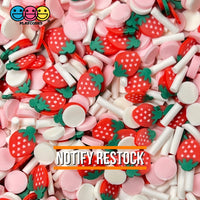 Strawberry Shortcake Mix Fake Clay Sprinkles Fimo Slice Decoden Jimmies 20 Grams Sprinkle