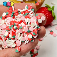 Strawberry Shortcake Mix Fake Clay Sprinkles Fimo Slice Decoden Jimmies Sprinkle