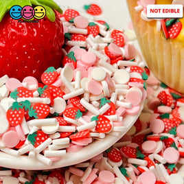 Strawberry Shortcake Mix Fake Clay Sprinkles Fimo Slice Decoden Jimmies Sprinkle