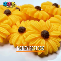 Sunflower Daisy Flatback Charms Flowers Daisies Cabochons 10 Pcs Charm