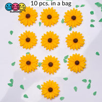 Sunflower Daisy Flatback Charms Flowers Daisies Cabochons 10 Pcs Charm