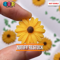 Sunflower Daisy Flatback Charms Flowers Daisies Cabochons 10 Pcs Charm