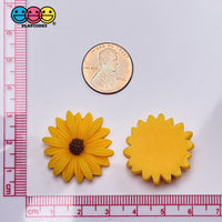 Sunflower Daisy Flatback Charms Flowers Daisies Cabochons 10 Pcs Charm