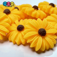 Sunflower Daisy Flatback Charms Flowers Daisies Cabochons 10 Pcs Charm
