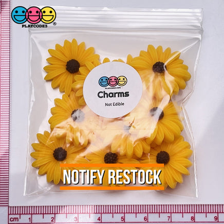 Sunflower Daisy Flatback Charms Flowers Daisies Cabochons 10 Pcs Charm