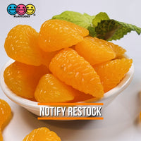 Tangerine Slices Realistic Imitation Fake Food Life Like Orange Fruit Plastic Resin 10 Pcs -H