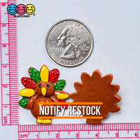 Turkey Flatback Colorful Charm Thanksgiving Christmas Cabochons 10 Pcs