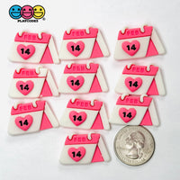 Valentine’s Day February 14Th Holiday Flatback Cabochons Decoden Charm 10 Pcs Playcode3