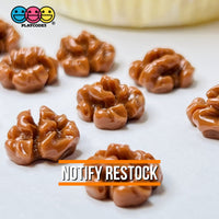 Walnuts Miniature Flatback Charms Mini Charm Fake Food Cabochons 20 Pcs