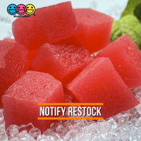 Watermelon Chunks 3D Charms Realistic Watermelons Cabochons Decoden (10Pcs) Charm