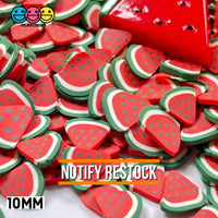Watermelon Large Fimo Slices Polymer Clay Watermelons Fake Sprinkles 20/10Mm 10 Mm / 20 Grams