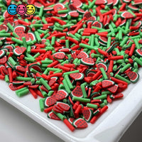 Watermelon Patch Mix Fimo Slices Fake Clay Sprinkles Decoden Jimmies Sprinkle