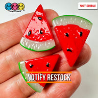 Watermelon Slice Flat Back Charms Watermelons Fake Fruit Plastic Cabochons 10 Pcs Playcode3 Llc