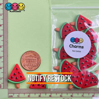 Watermelon Slices On Sticks Fake Charms Decoden (10 Pcs) Charm