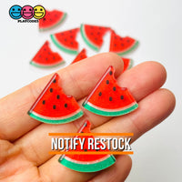 Watermelon Summer Fruit Flatback Cabochons Decoden Charm 10 Pcs Playcode3 Llc