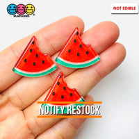 Watermelon Summer Fruit Flatback Cabochons Decoden Charm 10 Pcs Playcode3 Llc