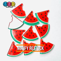 Watermelon Summer Fruit Flatback Cabochons Decoden Charm 10 Pcs Playcode3 Llc