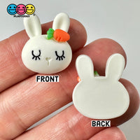 White Bunny Rabbit Kawaii Easter Flat Back Carrot Charms Cabochons Decoden Charm 10 Pcs Playcode3