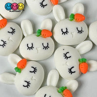 White Bunny Rabbit Kawaii Easter Flat Back Carrot Charms Cabochons Decoden Charm 10 Pcs Playcode3