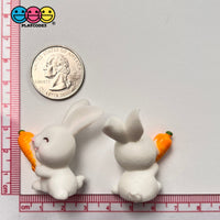 White Bunny Rabbit With Carrot Figurine Easter Cute Figurines Plastic Resin 5 Pcs