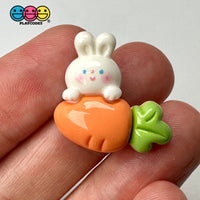 White Pink Easter Bunny Rabbit Carrots Flat Back Cabochons Decoden Charm 10 Pcs Playcode3 Llc