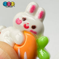 White Rabbit Bunny Carrots Easter Kawaii Charm Flat Back Cabochons Decoden 10 Pcs Playcode3 Llc