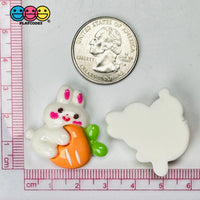 White Rabbit Bunny Carrots Easter Kawaii Charm Flat Back Cabochons Decoden 10 Pcs Playcode3 Llc