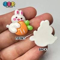White Rabbit Bunny Carrots Easter Kawaii Charm Flat Back Cabochons Decoden 10 Pcs Playcode3 Llc