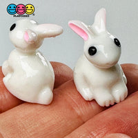 White Rabbit Bunny Mini Easter Charms Cabochons Decoden (10 Pcs) Playcode3 Llc Charm