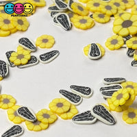 Sunflower & Seeds Fimo Mix Fake Polymer Clay Sprinkles Confetti Funfetti