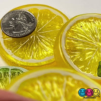 Slice Citrus Fruit Charms Faux Fruits Slices Lemon Orange Lime Plastic NOT BENDABLE Translucent Fake Food 9pcs